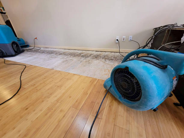 Reliable Crawl Space Water Removal contractor in Gibsonville, NC by Hirex Water Damage
