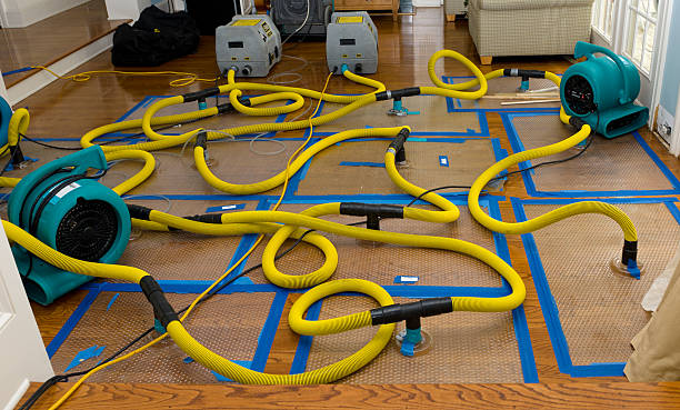 Professional Crawl Space Water Removal technician working in Gibsonville, NC